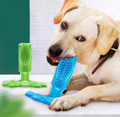 Dog Toy Toothbrush in use