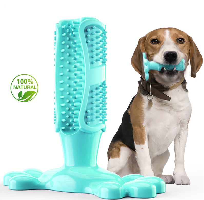 Dog Toy Toothbrush